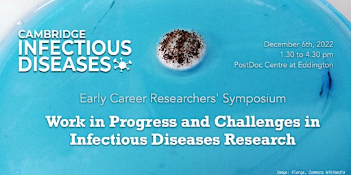 CID ECR Symposium: Work in progress and challenges in ID research