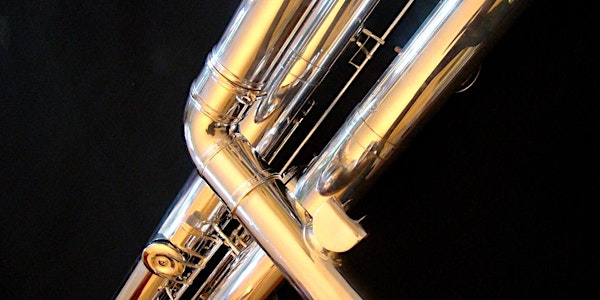 THE NATIONAL FLUTE ORCHESTRA OF IRELAND