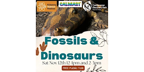 Fossils & Dinosaurs primary image