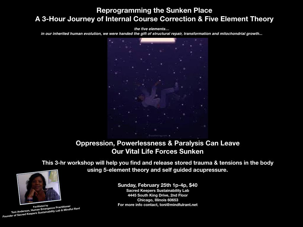 Reprogramming the Sunken Place: A 3-hour Journey of Course Correction & Five Element Theory