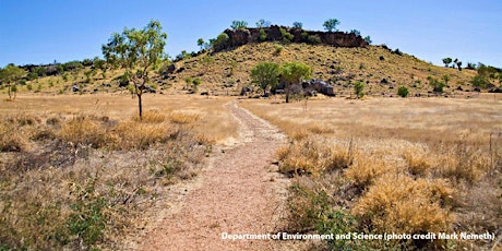 Riversleigh's fossils offer insights into the future of the Wet Tropics primary image