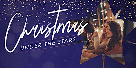 Christmas Under the Stars primary image