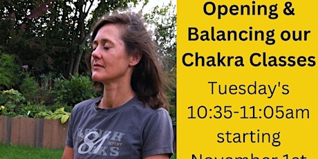 7 Chakra Classes - Rolling, Yoga, Meditation