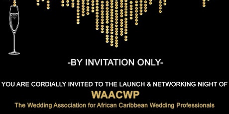 PRIVATE LAUNCH PARTY & EXCLUSIVE NETWORKING NIGHT FOR WAACWP primary image
