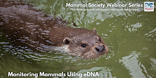 Imagen principal de TMS Webinar - Monitoring Mammals Using eDNA - Recording