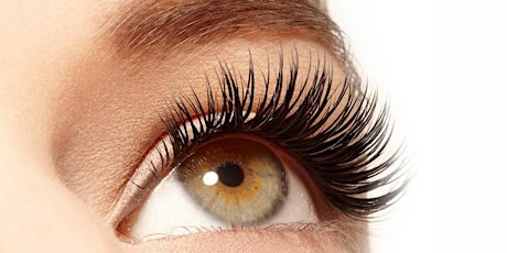 3d Lash Brow Salon And Academy Events Eventbrite