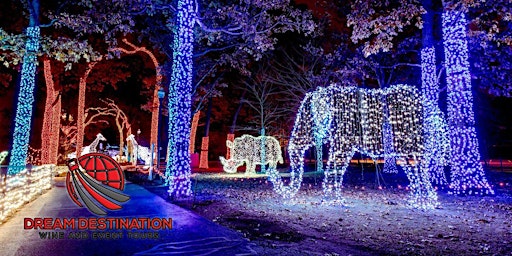 2022 Holiday Light Tour! (Campus Martius, Detroit Zoo, Downtown Rochester)