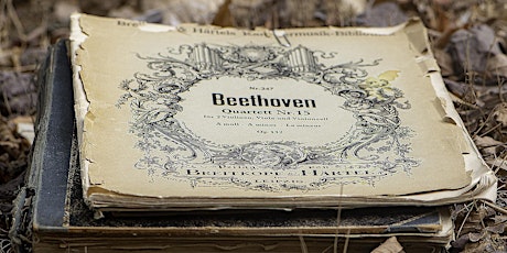 Führung: Beethovens Wien - eine musikalische Reise mit Hörbeispielen