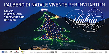 Immagine principale di L'Albero di Natale vivente per invitarti in Umbria 