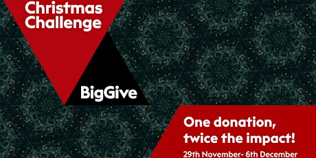 The Big Give 2022 - Online