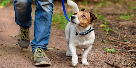 Yarra Bend - Dog Friendly Park Walk