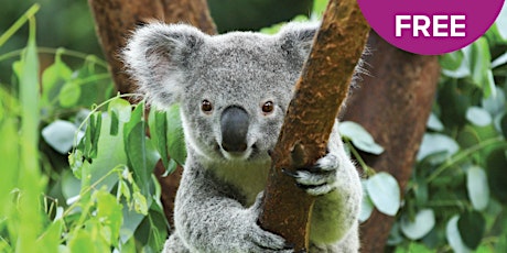Koala Family Fun Day primary image