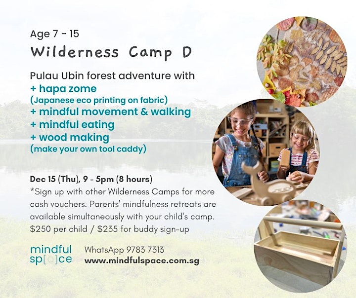 Wilderness Holiday Camp for Ages 7 – 15 image
