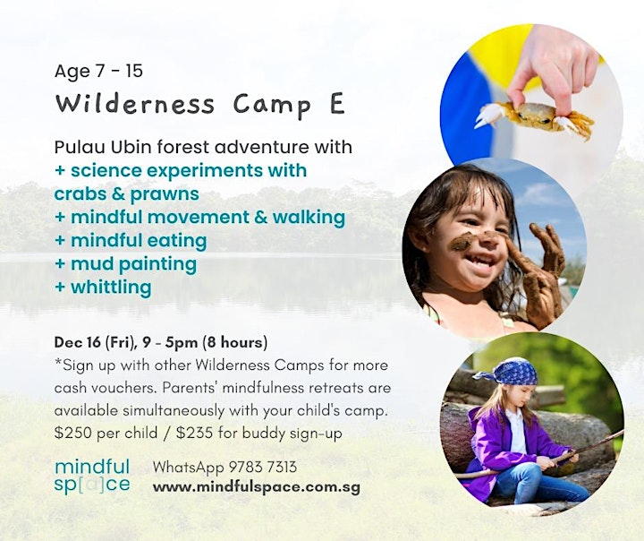 Wilderness Holiday Camp for Ages 7 – 15 image