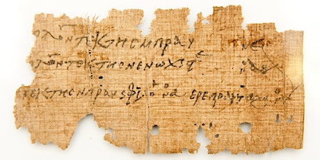 Image principale de La collection de papyrus