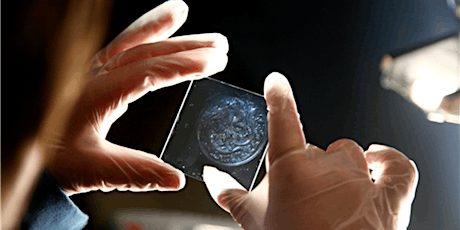 Making Holograms: A Workshop for A Level Students primary image