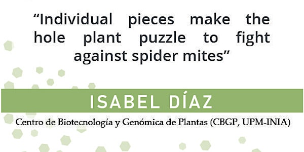 Individual pieces make the hole plant puzzle to fight against spider mites