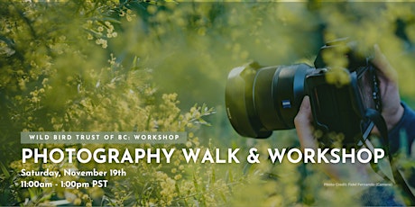 Photography Walk & Workshop with Paul Moldovanos