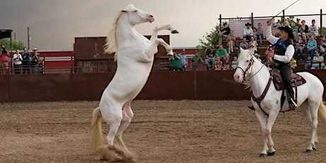 2018 Virginia Horse Festival primary image