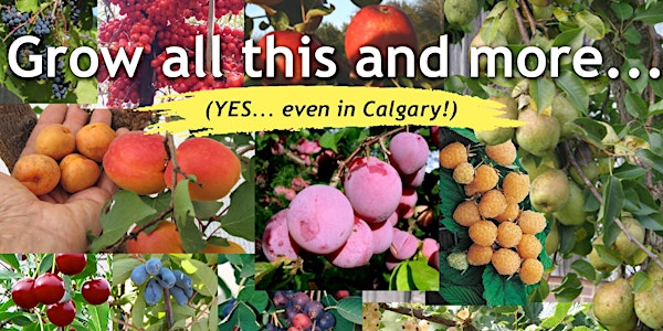 Design and Plant Your Edible Forest Garden Calgary