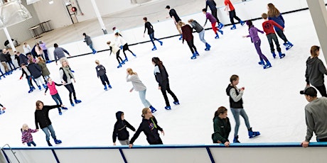 Tailem Bend Community Ice skating primary image