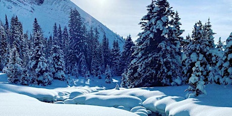 Winter wonderland at  Chester Lake (5I)