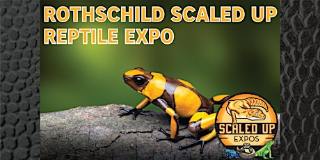 Rothschild Scaled Up Reptile Expo 2-26-2023