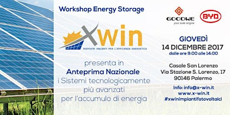 Immagine principale di Workshop Energy Storage 