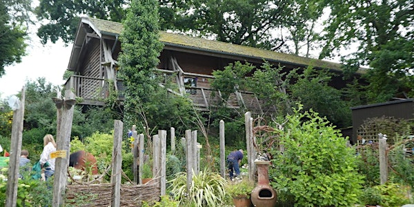Living Wild & True spring retreat