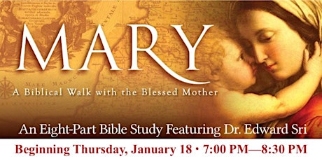 Mary and the Bible primary image