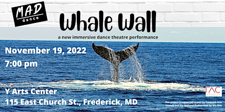Whale Wall: A New Immersive Dance Theatre Performance