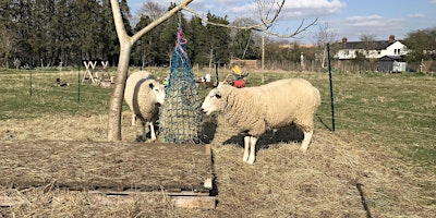 Saturday family friendly days & Community Farming Sessions - 10am to 1pm primary image