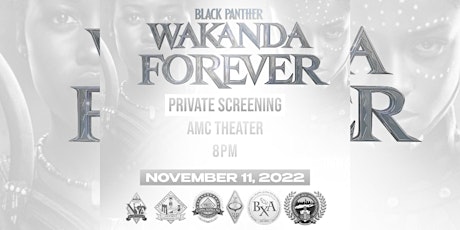 Black Panther: Wakanda Forever primary image