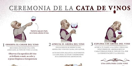 Imagen principal de Aprende de vinos / Cata para principiantes 