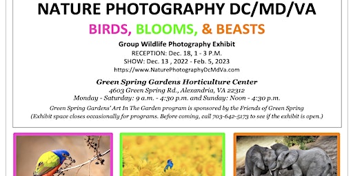 BIRDS, BLOOMS, & BEASTS  (Nature photography exhibit)