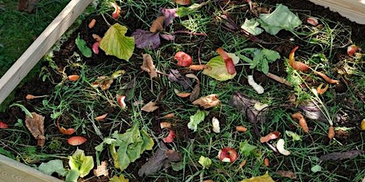 FREE In-person Workshop: Composting Basics