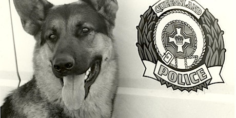 50 years of the Queensland Police Dog Sqaud primary image