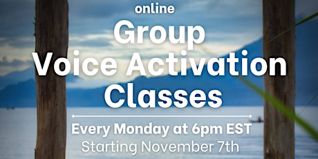 Online Group Voice Activation Classes