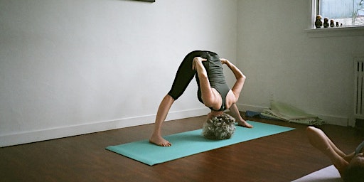 Immagine principale di Guided Class - Half Primary Ashtanga Yoga Sequence 