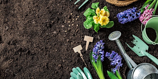 Gardening with Microbes and Microscopes