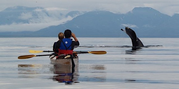 A Whale of an Adventure: Exploring Alaska by Sea Kayak