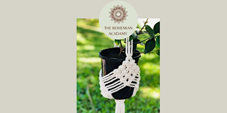 Create a diamond macrame pot plant hanger primary image