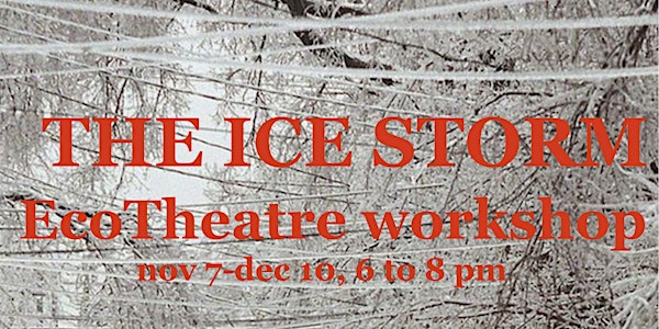 Eco Theatre THE ICE STORM