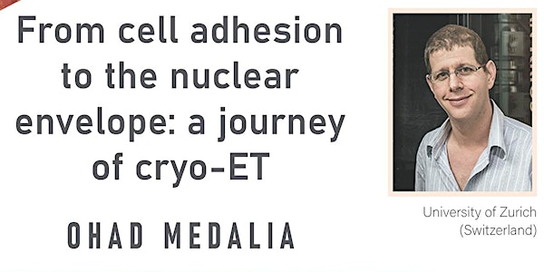 From cell adhesion to the nuclear envelope: a journey of cryo-ET