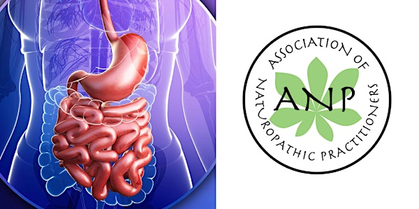 Gut Symposium a Journey Through the Microbiome, Saturday 24th March, ANP Du...