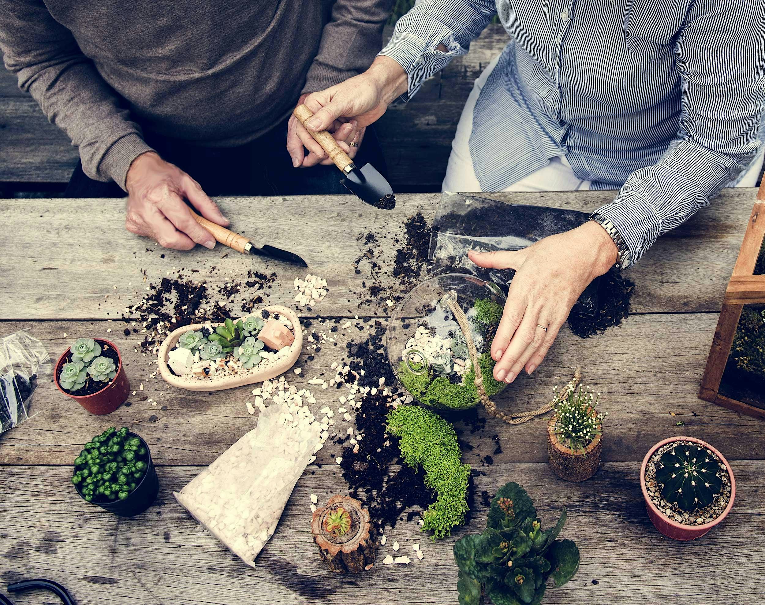 Terrarium Workshop - Eugene - Eugene, OR