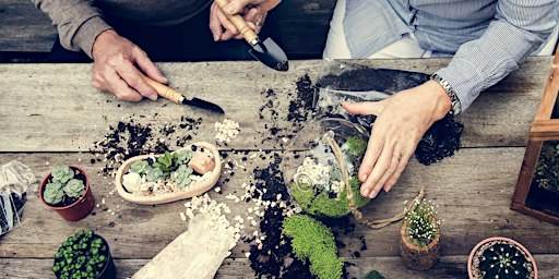 Terrarium Workshop - Eugene