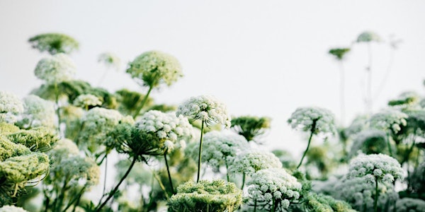 Ayurvedic Spring Cleanse Workshop