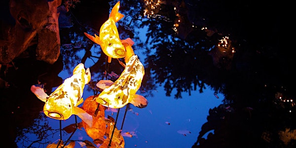 24th Annual Winter Solstice Lantern Festival