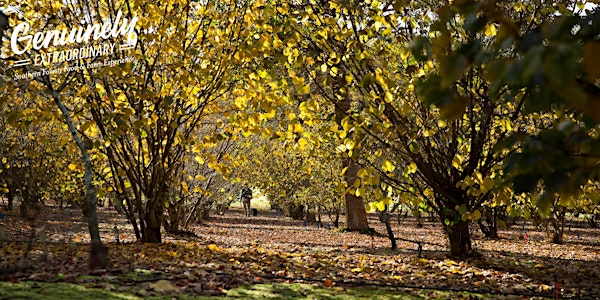 Genuinely Extraordinary Southern Forests Food & Farm Experience - June 2018